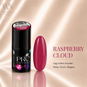 Excellent PRO Pro Colors 019 Raspberry Cloud géllakk – üveg és színminta