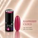 Excellent PRO Pro Colors 019 Raspberry Cloud géllakk – üveg és színminta